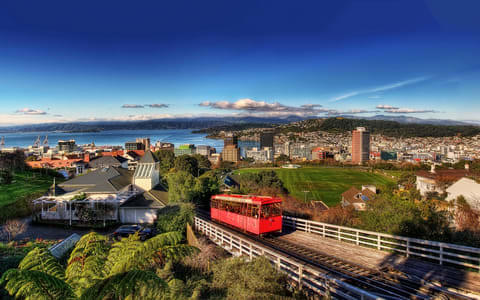 Best Places To Stay in Wellington