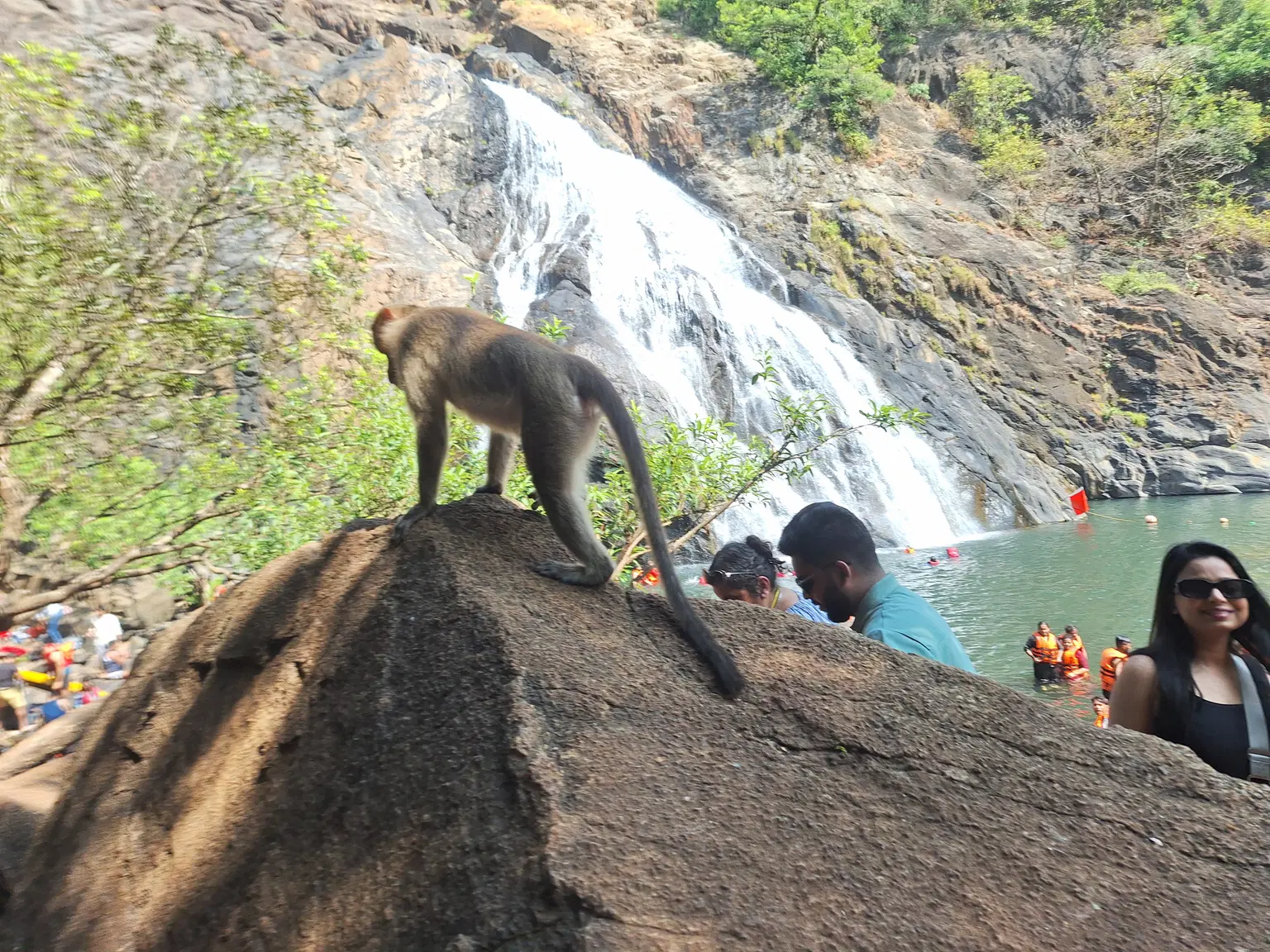 Photo from Dinesh Verma's trip