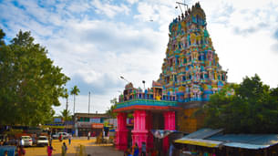 Experience Coimbatore’s serene temples, lush landscapes and lively markets with a private vehicle tour