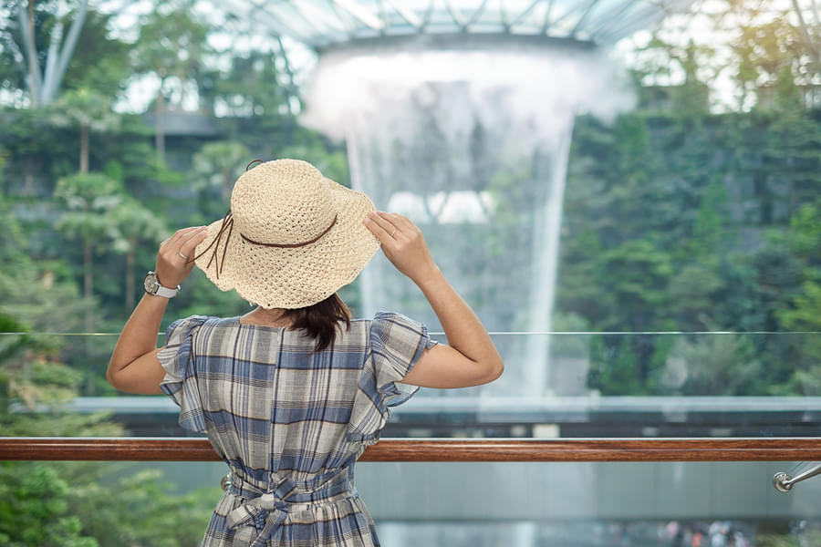 Take in the amazing views of the world’s tallest indoor waterfall