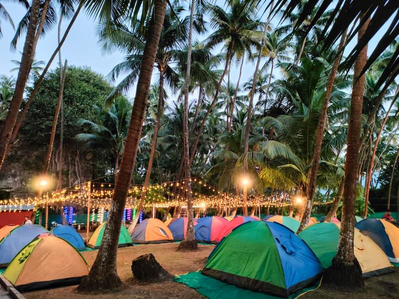 Revdanda Beach Camping, Alibaug Image