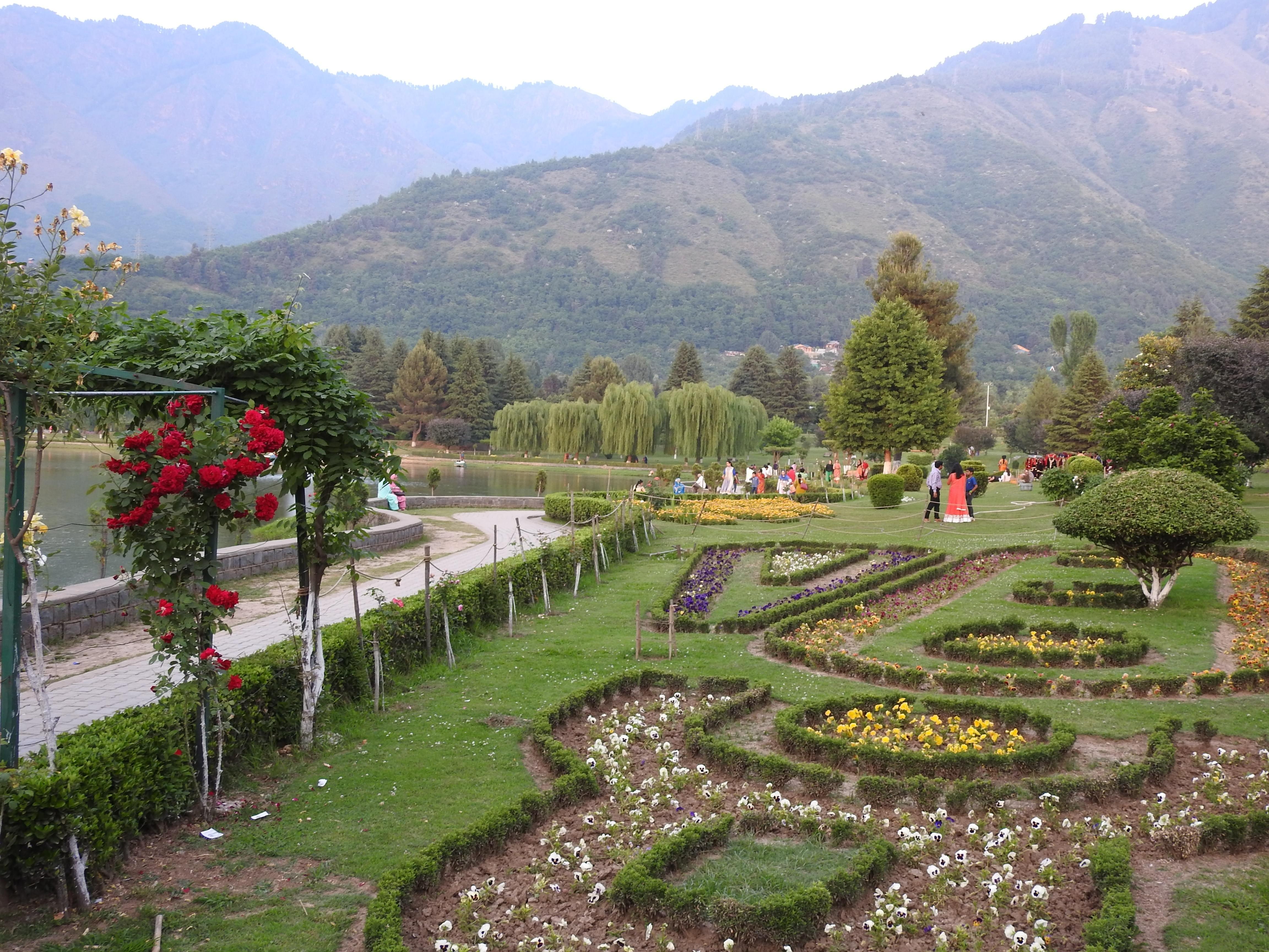 Discover an Array of Flowering Plants
