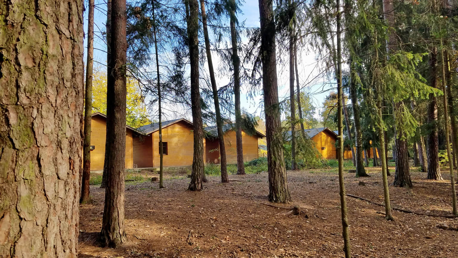 Wild Woods Cottages