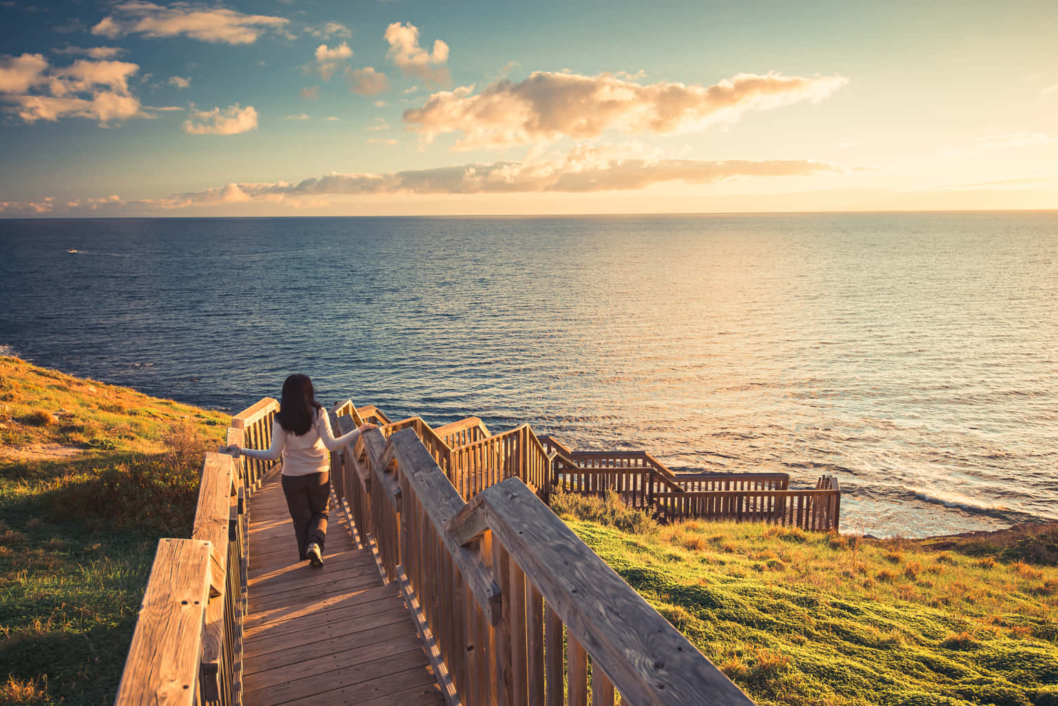 Discover Adelaide | Australian Wildlife, Wonders, and Wine