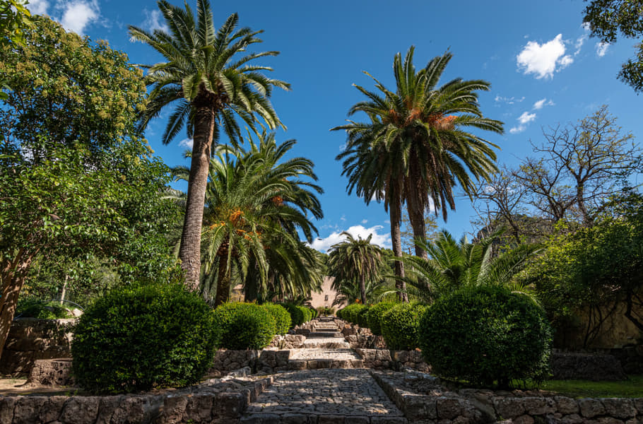 Jardines de Alfabia Tickets Image