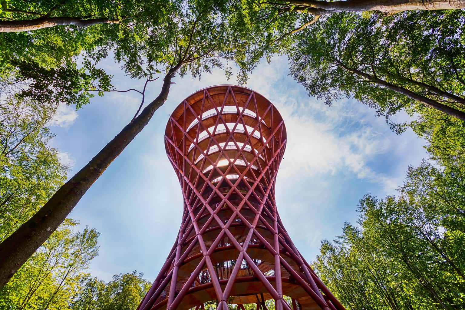 The Forest Tower and Forgotten Giants Day Tour From Copenhagen, Denmark