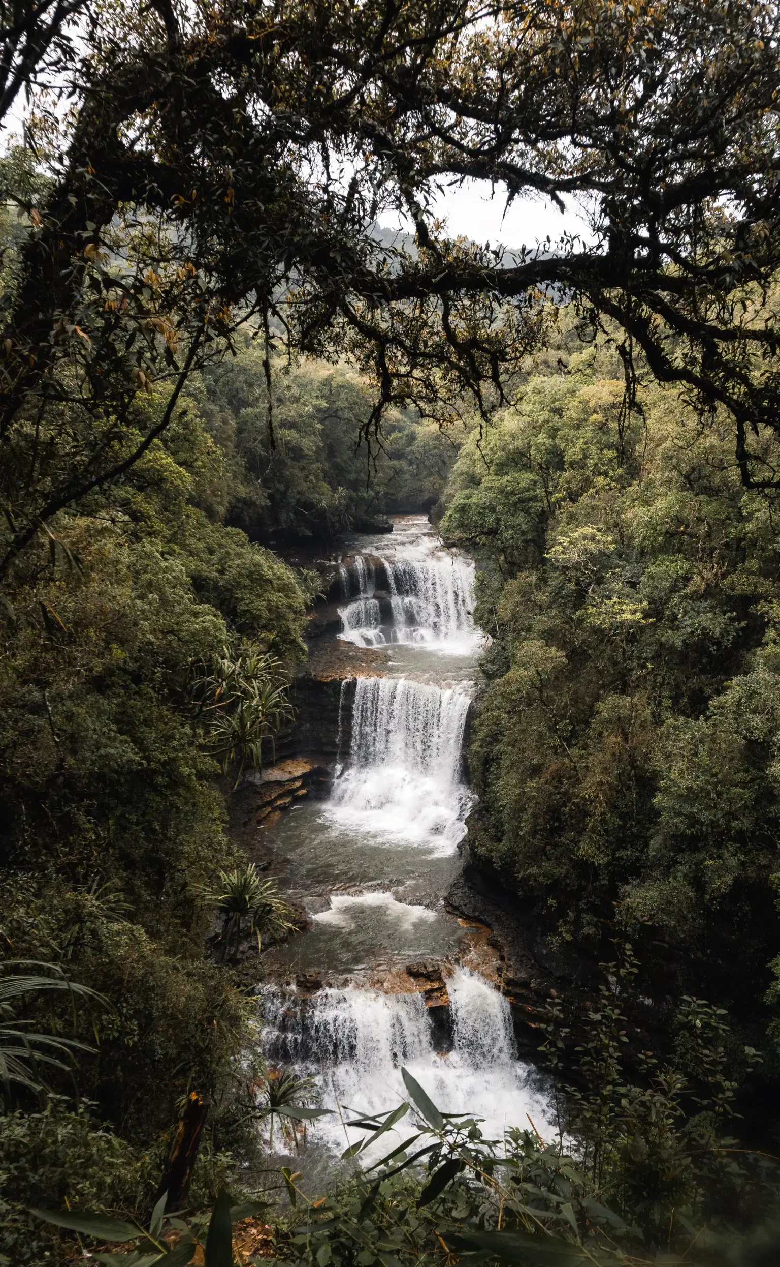 <em>Meghalaya</em> Tour Packages From Kolkata 