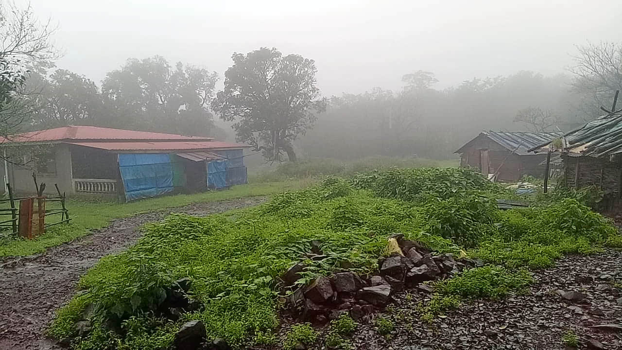 Photo from Dhaval Dhaval's trip