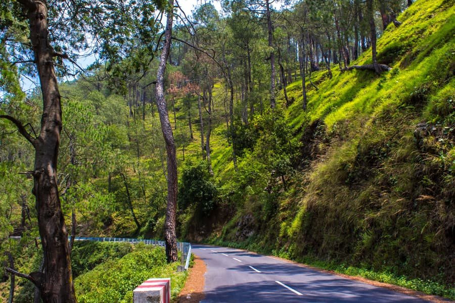 Uttarakhand Fishing Tour Image