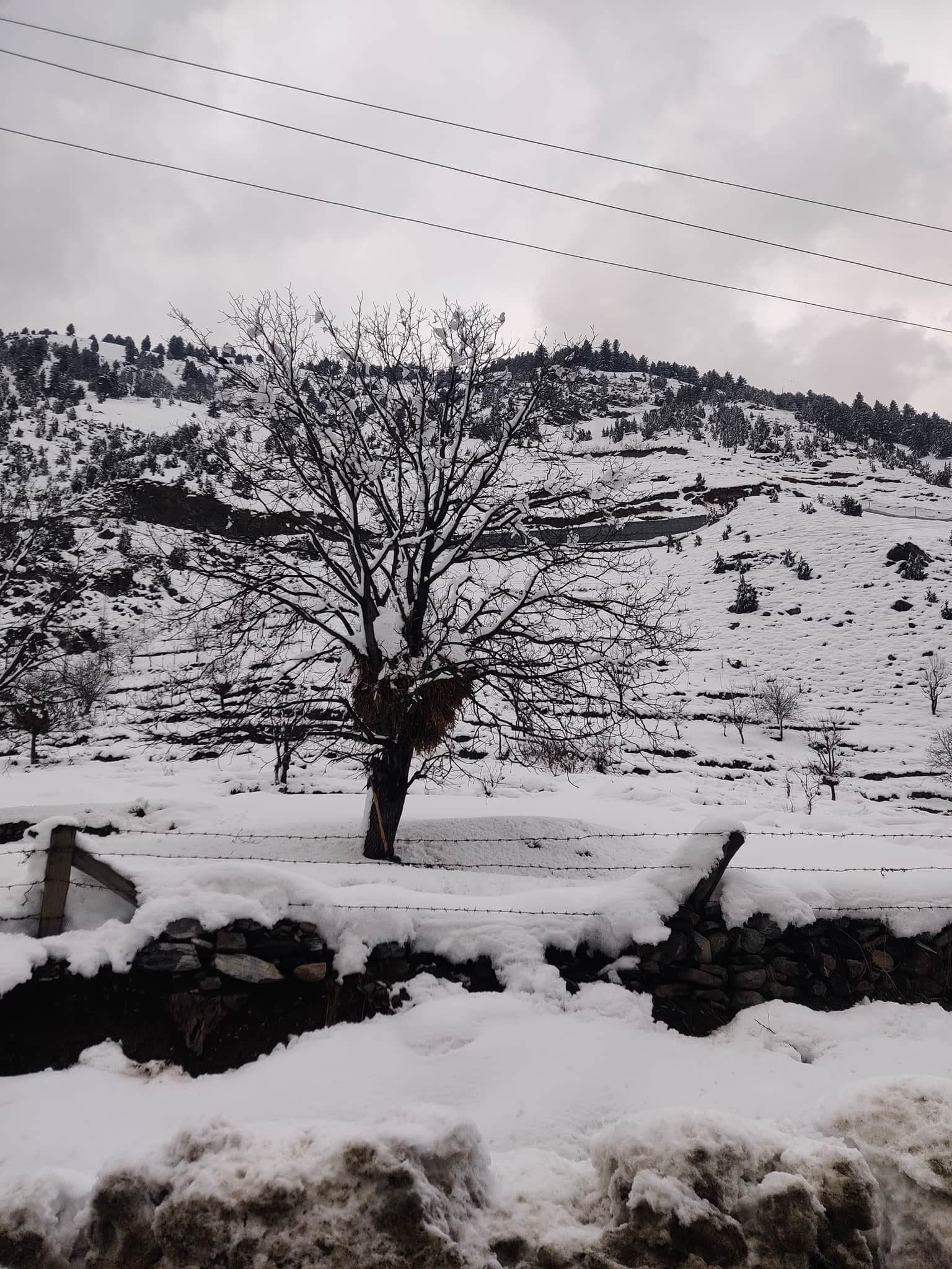Photo from Sunit Naik's trip