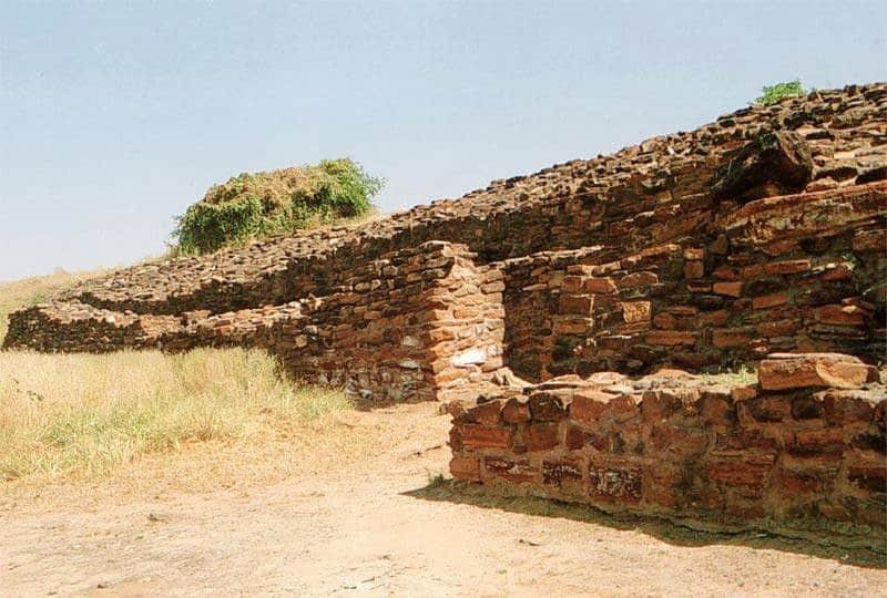 Surkotada