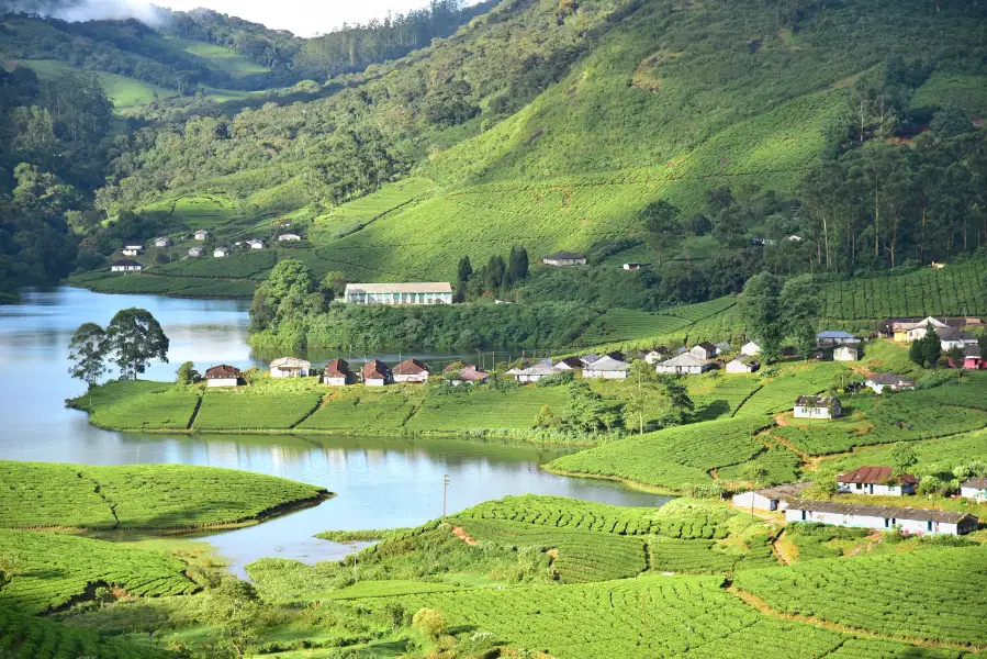 Kerala Tour Packages