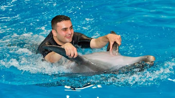 dubai dolphinarium