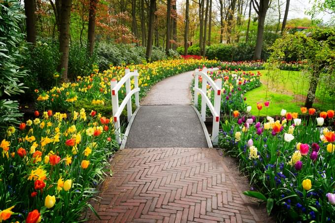 Keukenhof Gardens