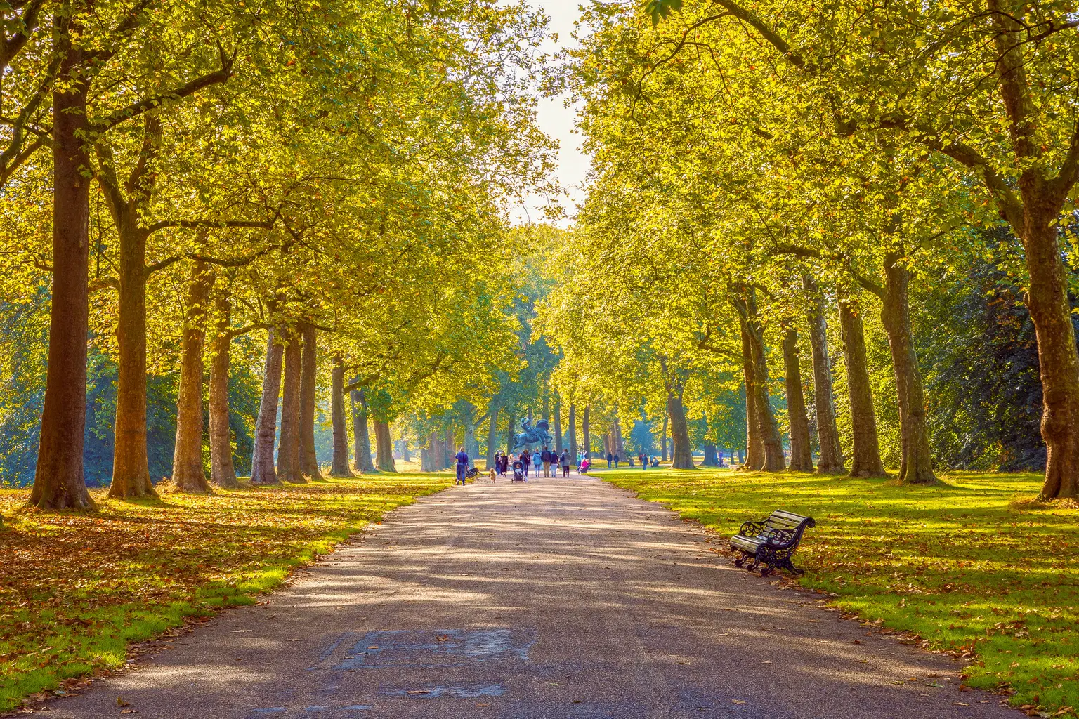 Hyde Park, Sydney