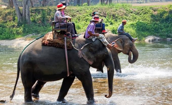 Golden Triangle Tour Chiang Mai