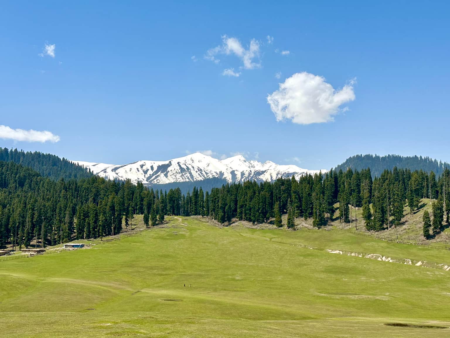 Photo from Asha Narayanan's trip