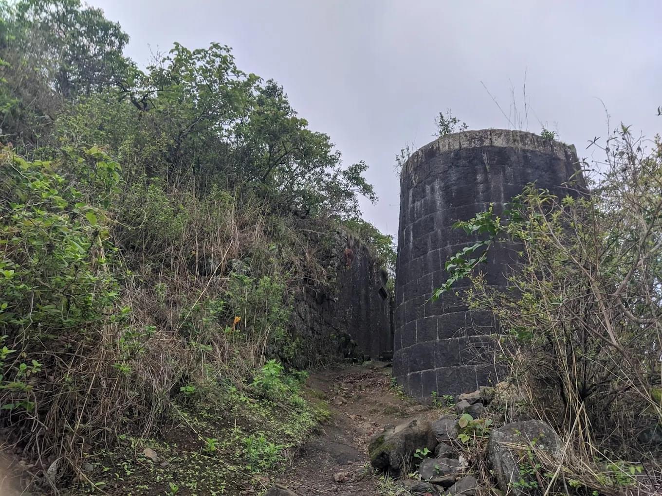 Discover Rock-Cut Pandavgarh Caves