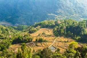 Kl4r5okimev0viqqz5gaetv45ydo dz4