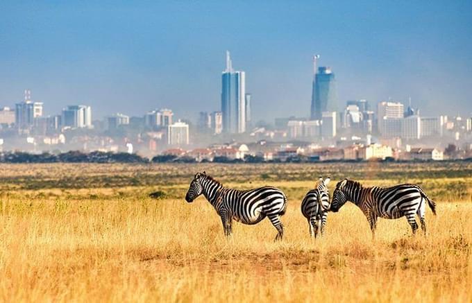 Nairobi National Park.jpg