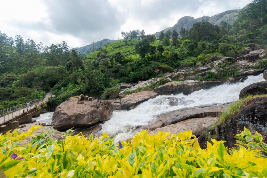 Full Day Munnar Sightseeing Tour Image