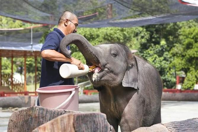 Have a look at the caring Mahout Keeper