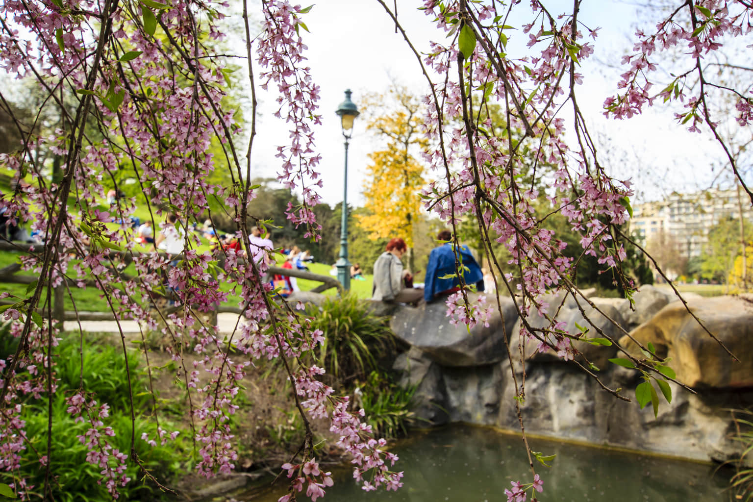 Flora and Fauna of the Park
