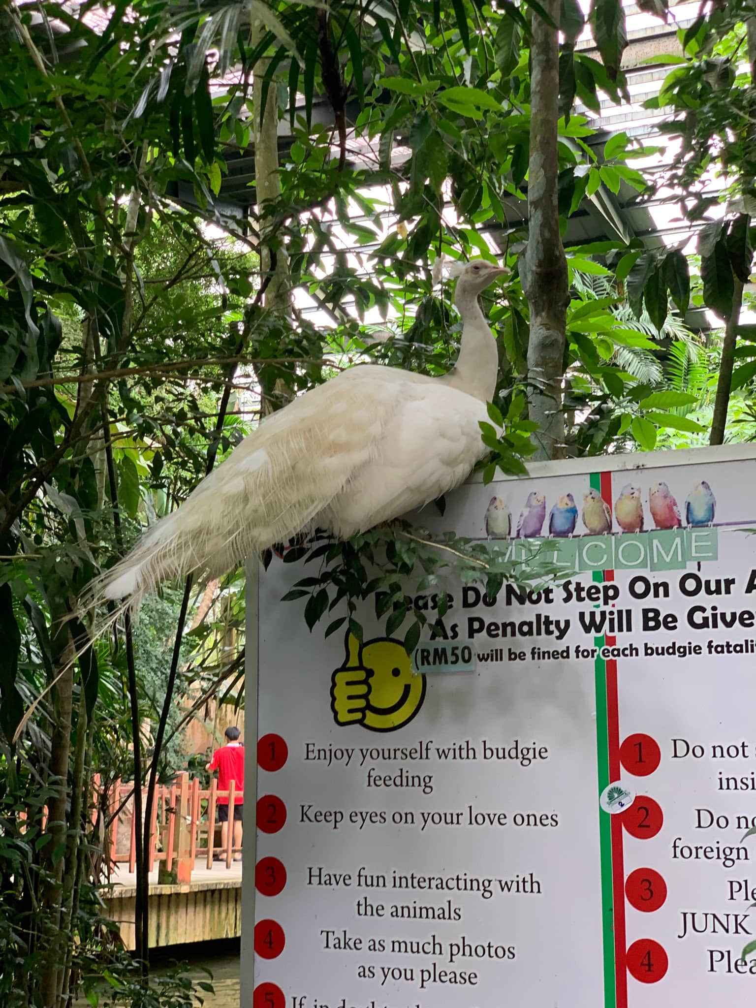 Photo from Matahari 's trip