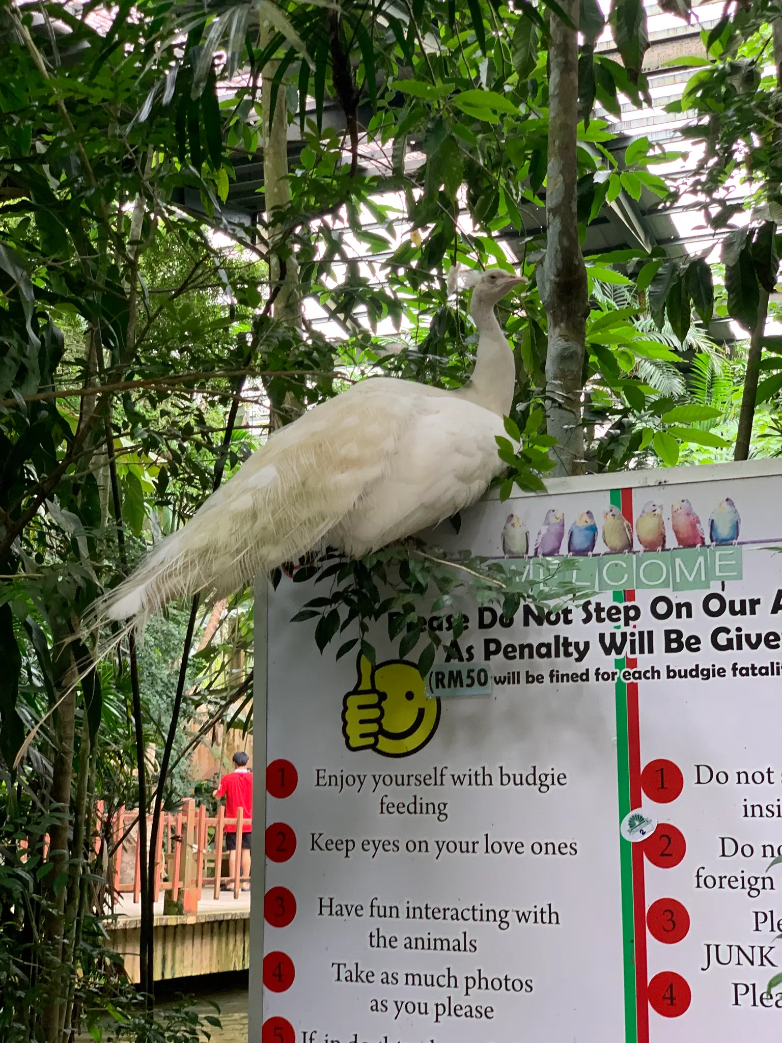 Photo from Matahari 's trip