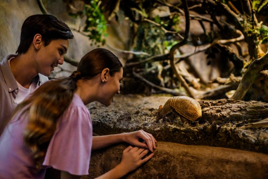 Spend a fun-filled day with your family exploring the zoo