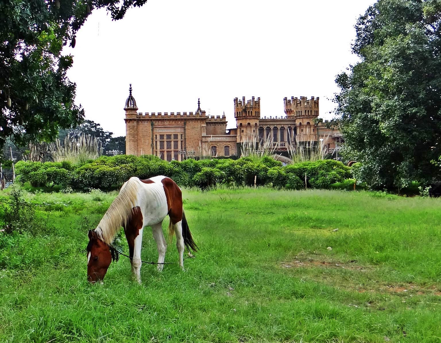 Bangalore Palace, <em>Bangalore</em>