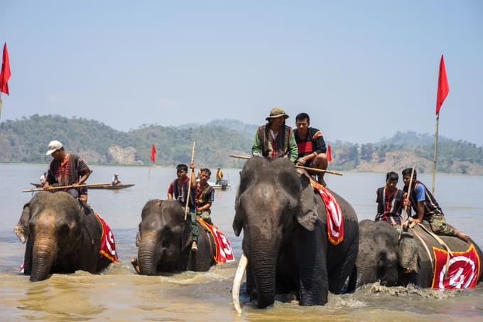 Elephant Watch Camp