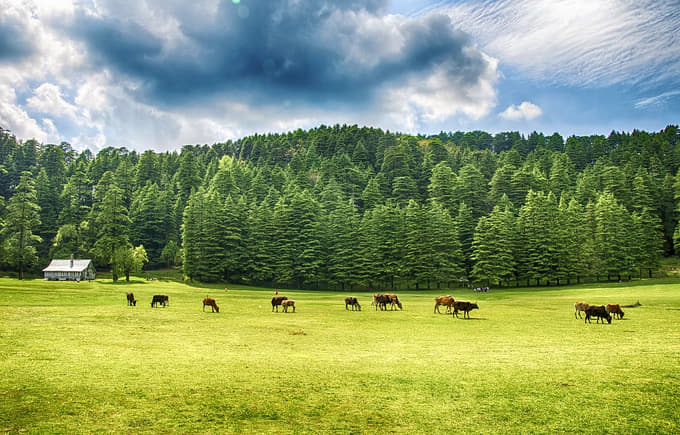 Dalhousie Kangra Western Himalaya Tour Package