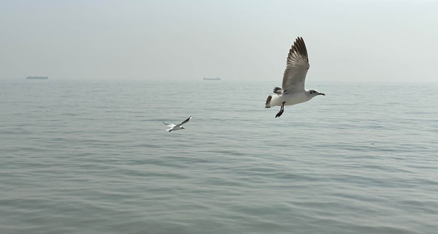 Photo from Chiranjeevi P's trip