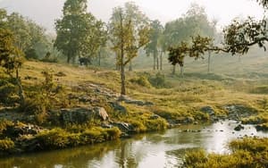 Mudumalai