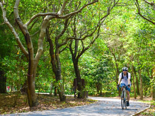 Bangkok Jungle Bike Tour