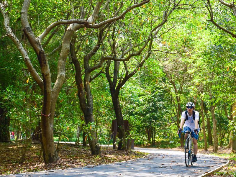 Bangkok Jungle Bike Tour Image