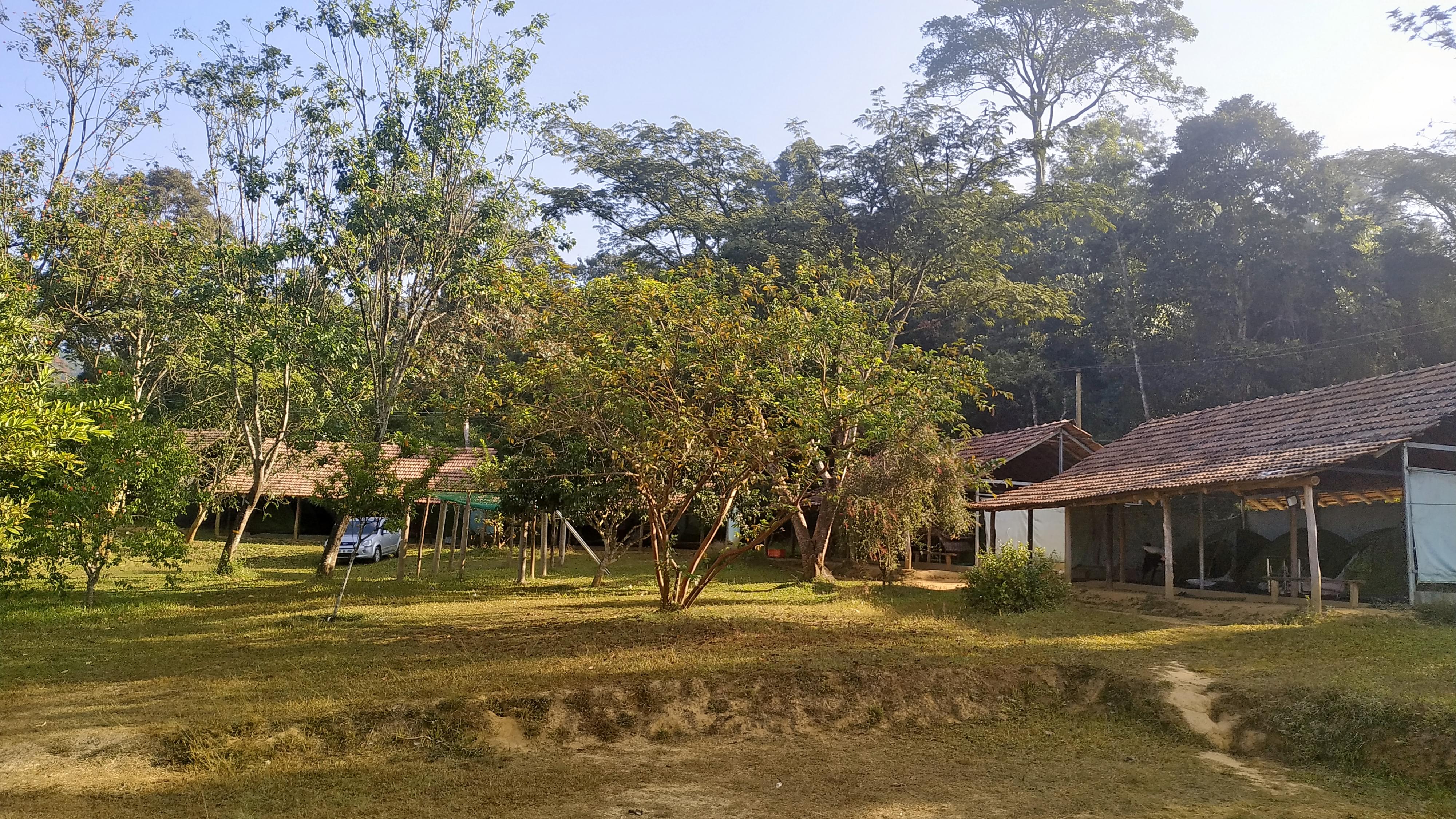 Debajyoti Mohanty