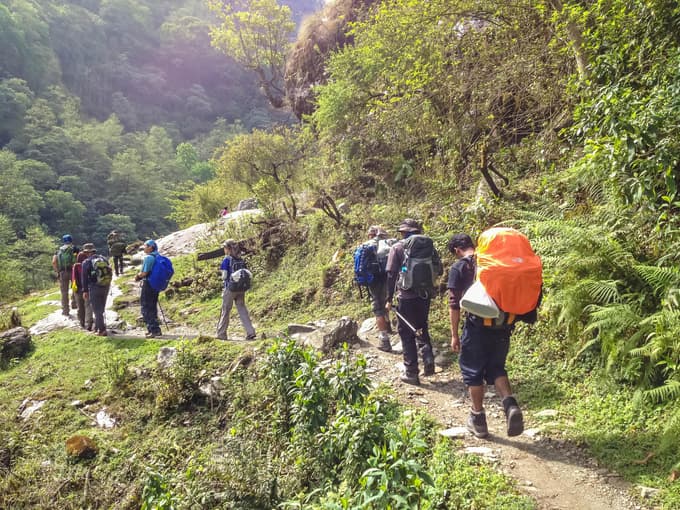 Enjoy a trek through lush trails