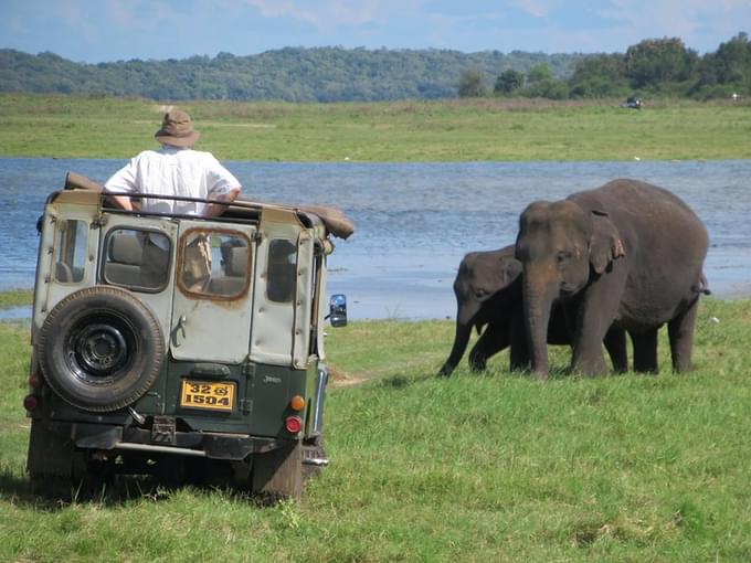 4x4 Safari