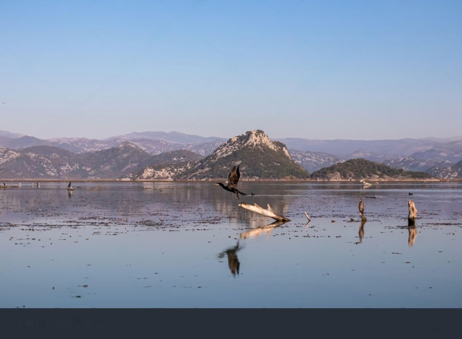 Experience the thrill of bird-watching