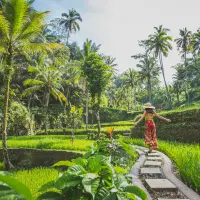 couples-delight---bali-in-a-nutshell