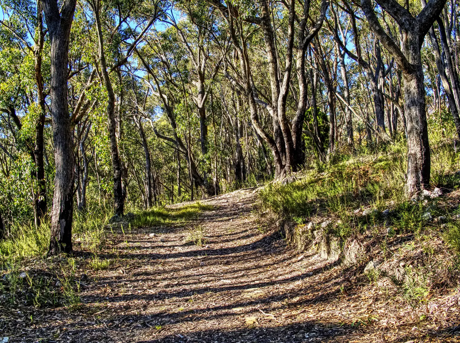 Belair National Park Holiday Park
