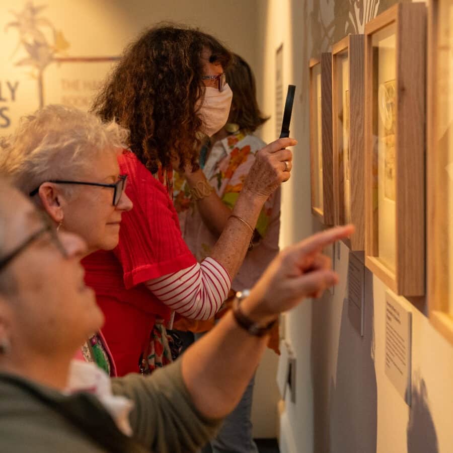 Visit the Seasonal Exhibitions