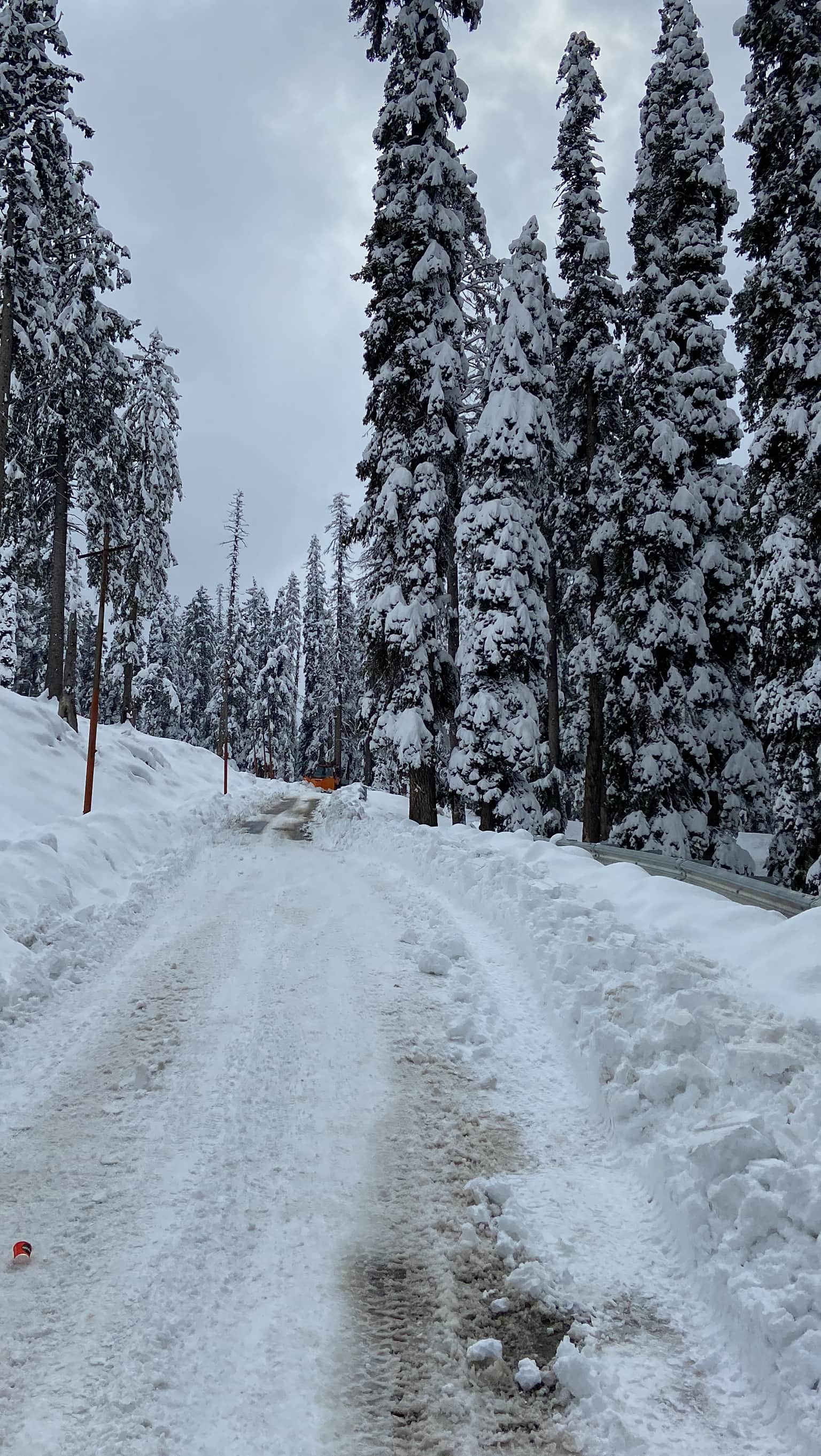 Photo from YASHWANT MADHIRA's trip