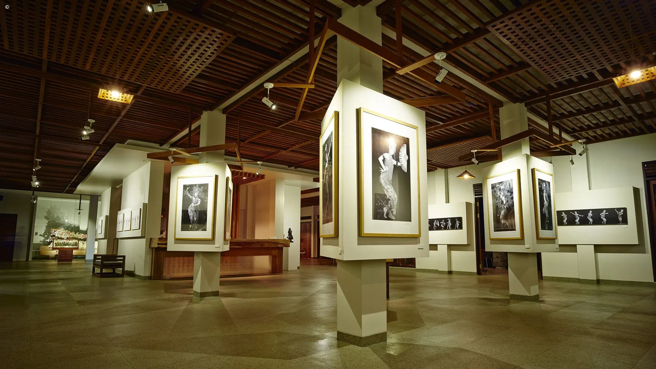 Admire the South East Asian Gallery