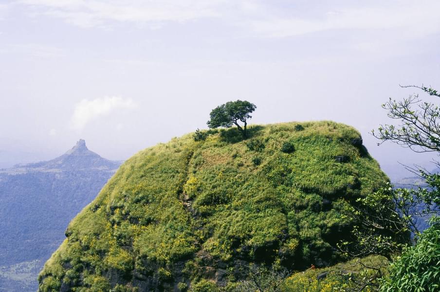 Matheran One Day Trip From Pune Image