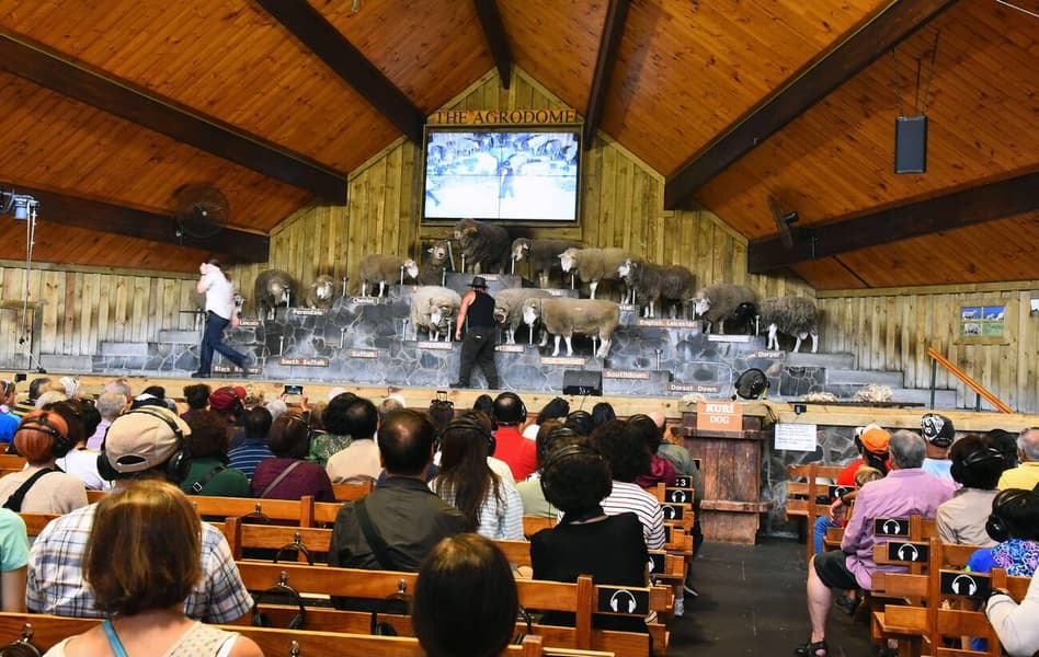 Agrodome Farm Show Tickets, Rotorua Image