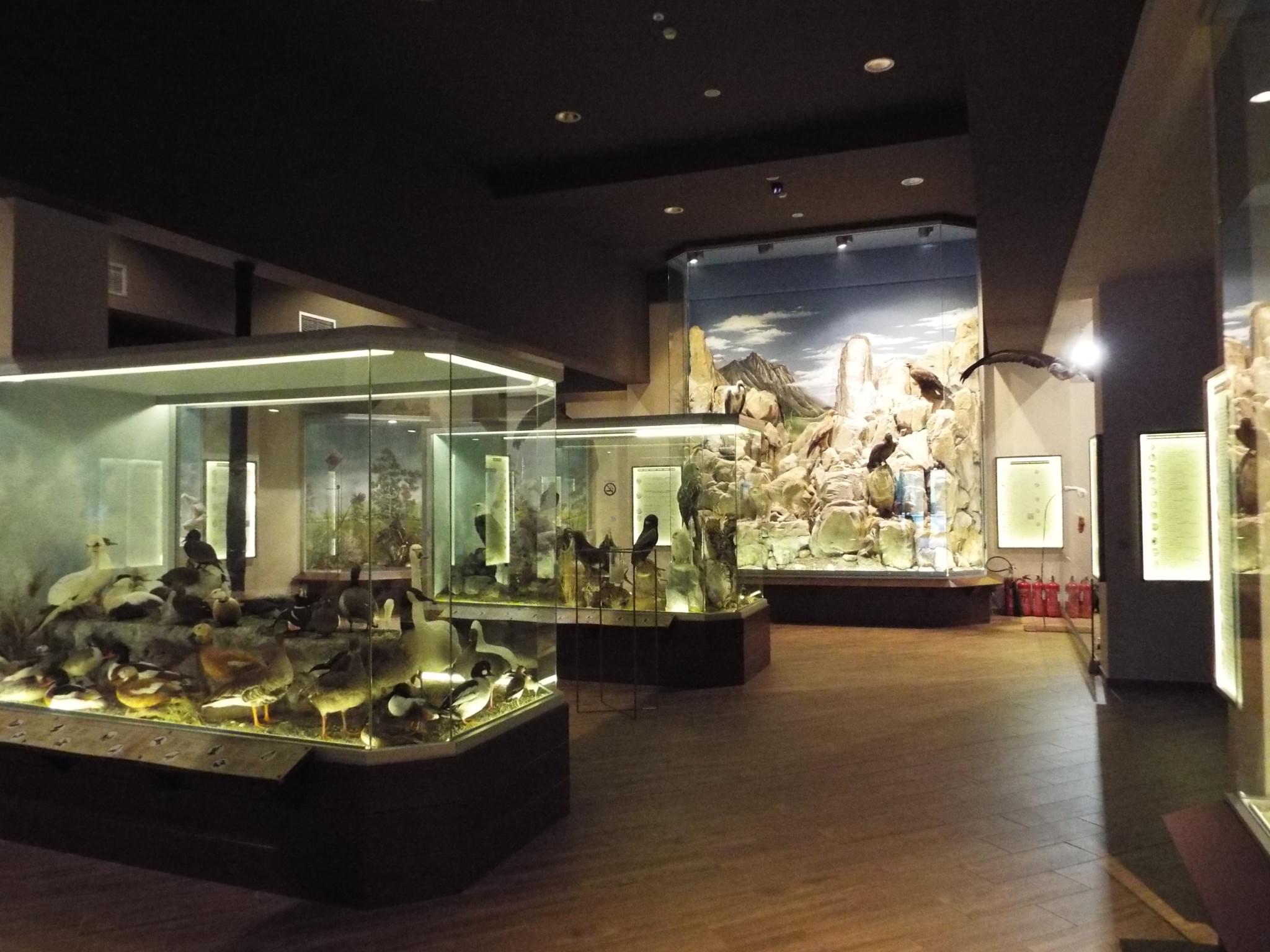 Natural History Museum of Meteora and Mushroom Museum