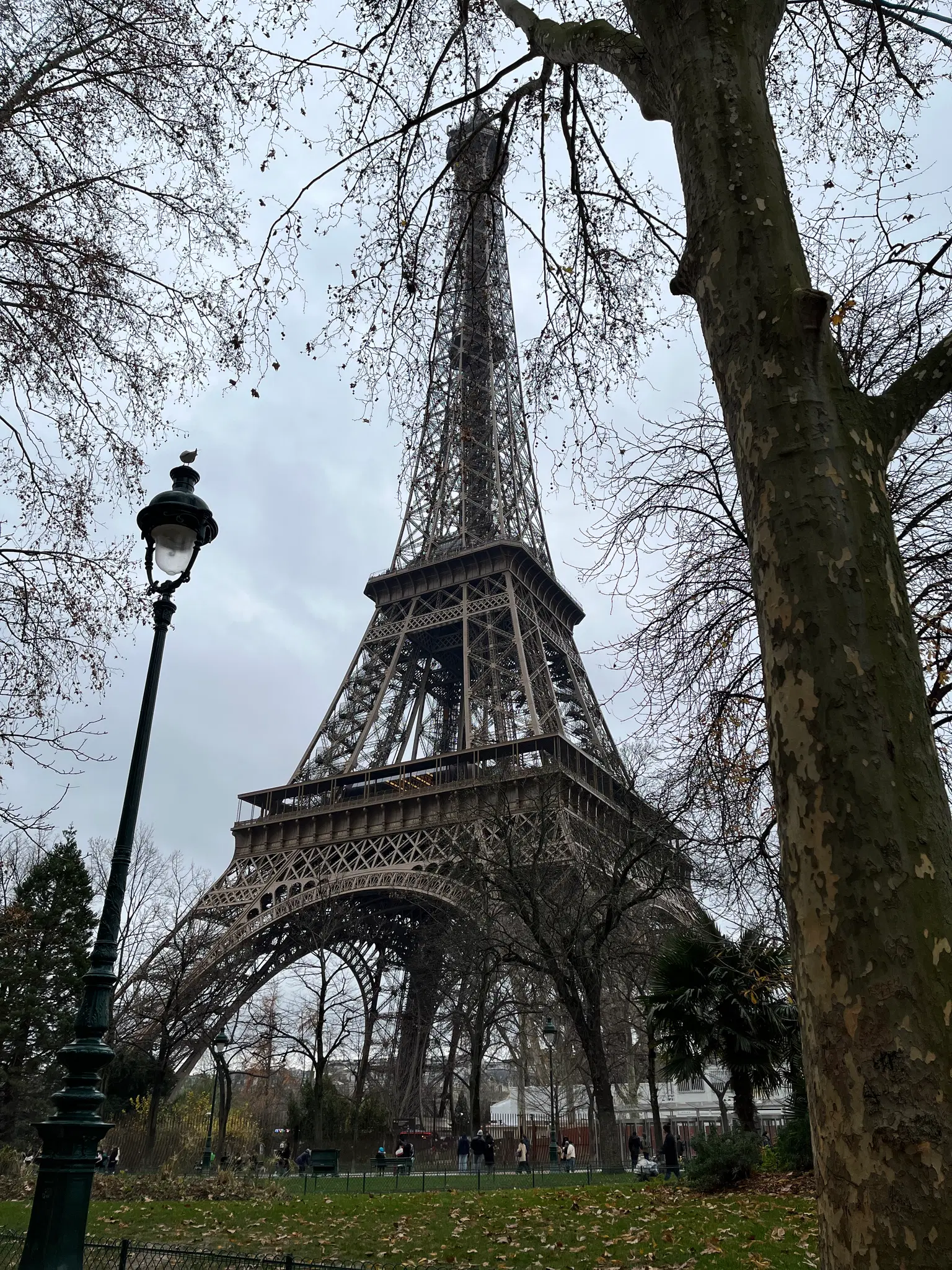 Photo from Indronil Sarbadhikary's trip